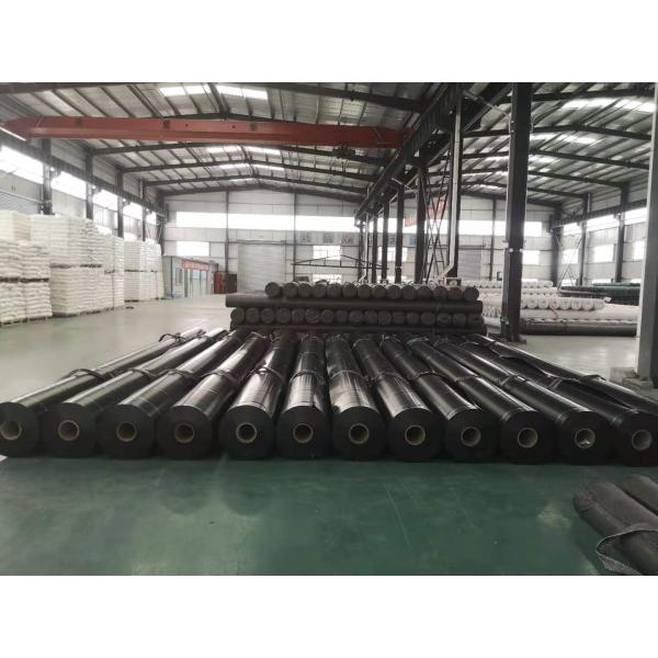 Waterproof 0.5mm Geomembrane for Shrimp Pond in Black White Green Blue