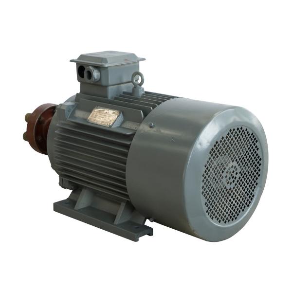 Quality Low Speed Permanent Magnet Generator 240V 380V For Power Generation for sale