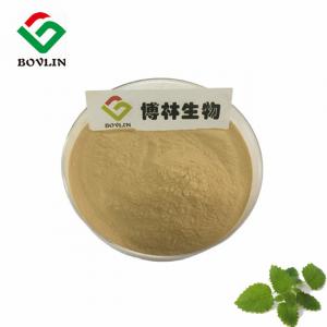 China Natural  Melissa Officinalis Leaf Extract  Lemon Balm Powder For Skin on sale