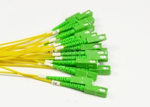 Wholesale 24 Core Single Mode Fiber Patch Cord , Fiber Optic Assemblies SM MU / APC - SC / APC from china suppliers
