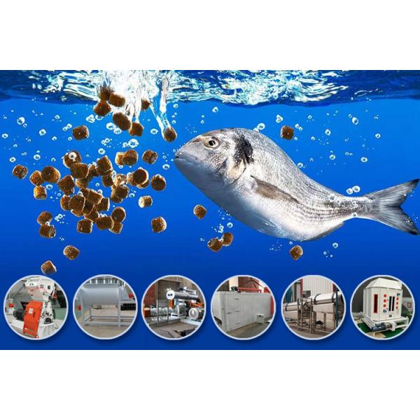 fish feed making plant