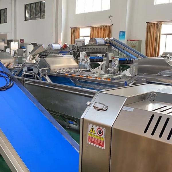 Scallion 1900kg/H Vegetable Washing And Drying Machine