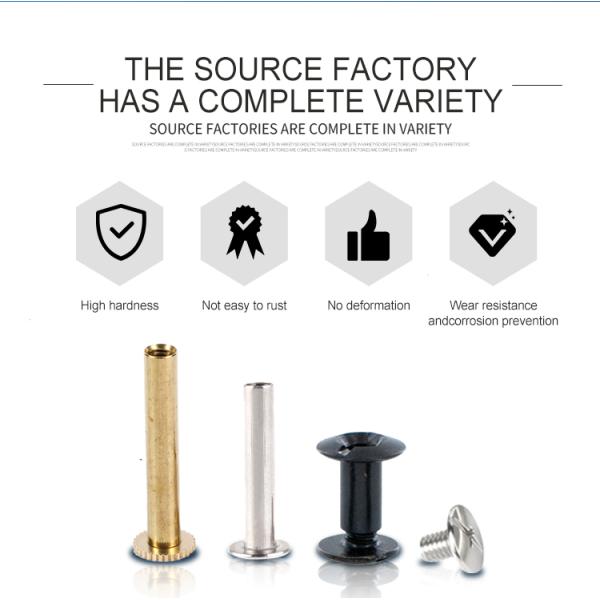 ISO9001 2015 Mini Chicago Screw M3 M4 M5 M6 M8 Flat Round Slotted Blind Head Male Female Screw