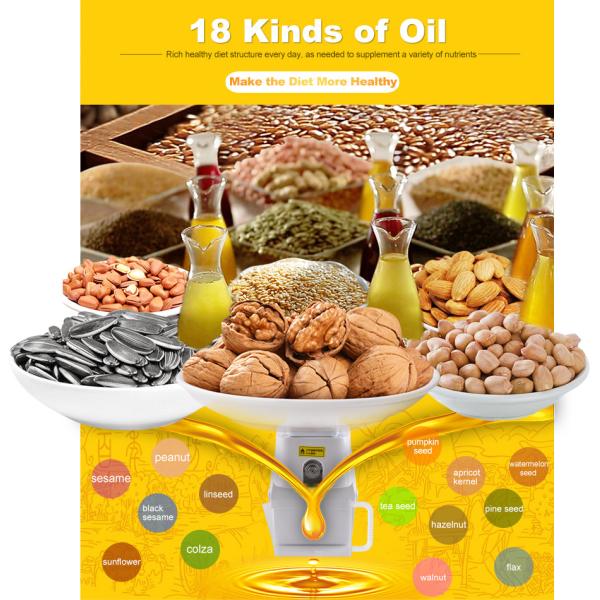 Popular selling cold press oil machine and mini oil press machine in China supplier