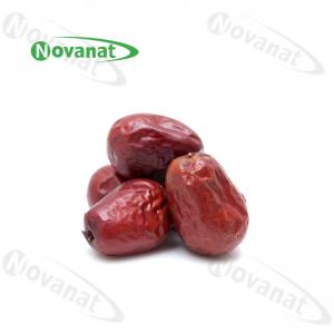 Wholesale Food Grade Organic Dried Herbs Chinese Red Dates Jujubes / Rich In Vitamin Organic Acids from china suppliers