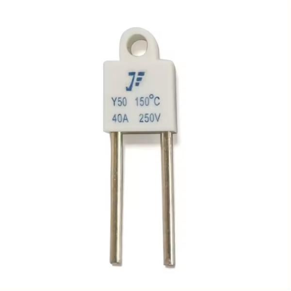 Square Type Squareness 20A 30A 40A Ceramic Temperature Fuse Thermal Fuse