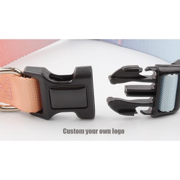Dog Collar Luxury Gradient Adjustable Reversible Solid Custom Logo Designer Personalized