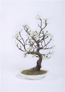 China High Density Indoor Bonsai Tree , Anti UV Silk Tree Bonsai Public Area High Imitation on sale