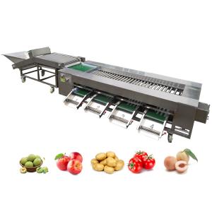 Wholesale Industrial Automatic Roller Sorting Machine For Sorting And Grading from china suppliers