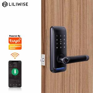 Wholesale Electrical Panel Home Smart Lock For Remote Control Gate from china suppliers