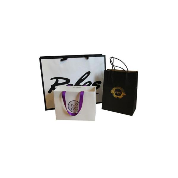 Custom Order Acceptable Luxury Logo Printed Shopping Bag for Beautiful Holiday Gift