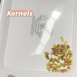 20 Feed Channels Pistachio Nuts Sorting Machine With Automatic Cleansing