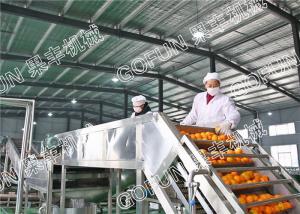 Wholesale HPP Citrus Processing Line / 440V Lemon Processing Plant Easy Operation from china suppliers