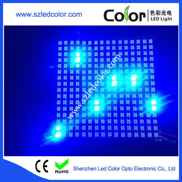 Quality APA104/WS2812B 16*16 256 Soft Panel Display for sale