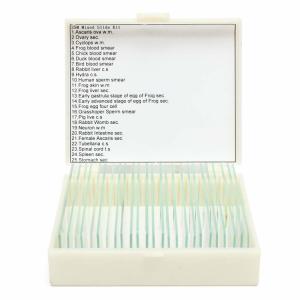 Lab Research Plastic Box 25pcs Pre Prepared Microscope Slides