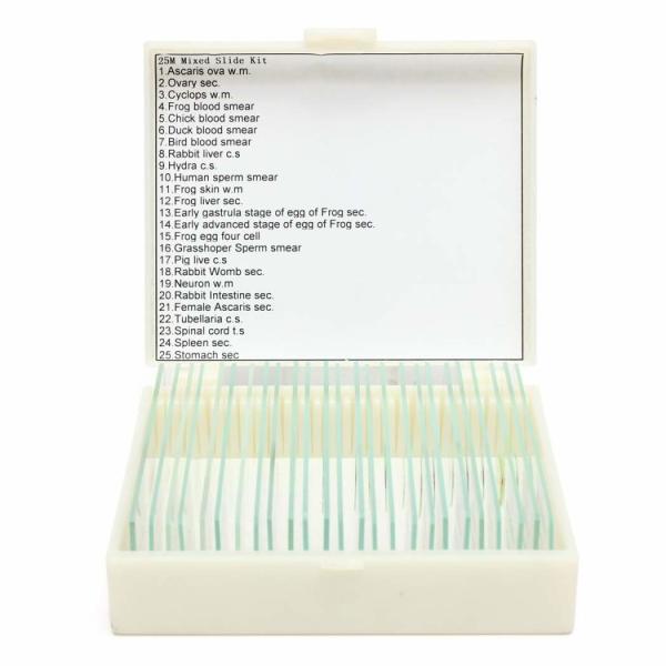 Quality Lab Research Plastic Box 25pcs Pre Prepared Microscope Slides for sale