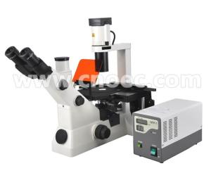 China Inverted Fluorescence Binocular Compound Microscopes 40X - 400X A16.0701 on sale