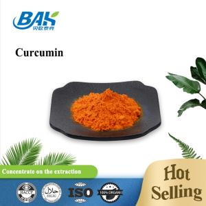 Natural 95% Curcumin Powder Food Pigment Cas 458-37-7