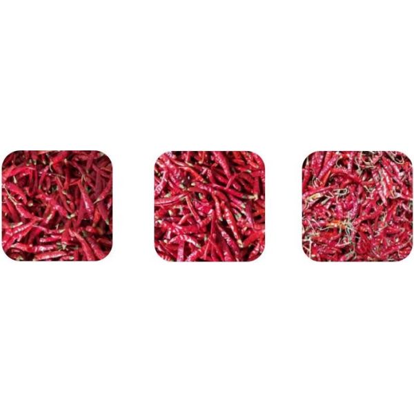 Shape Selection Chilli Color Separator Machine 400 - 600Kg/H 8.2kw Single / Double Layer