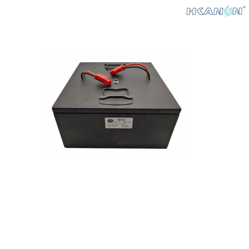 Custom LFP Lithium Iron Phosphate Battery Pack , 48v 60AH Lithium Battery