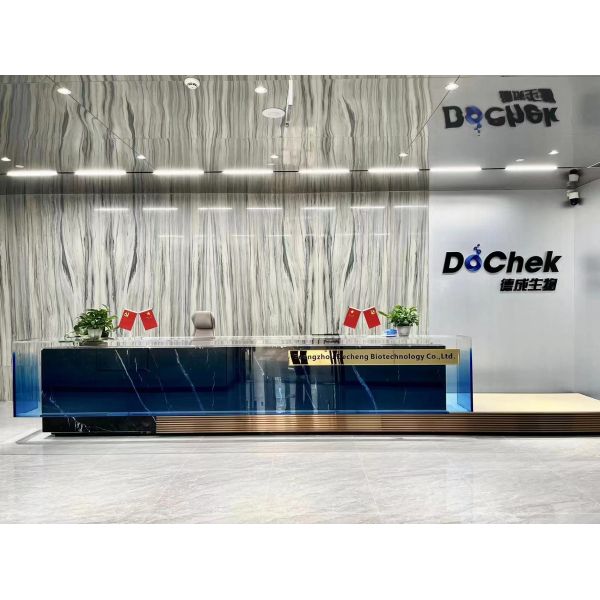 10mIU/ML 510k CE ANVISA Pregnancy Test Kit With Digital Accurate Result Show