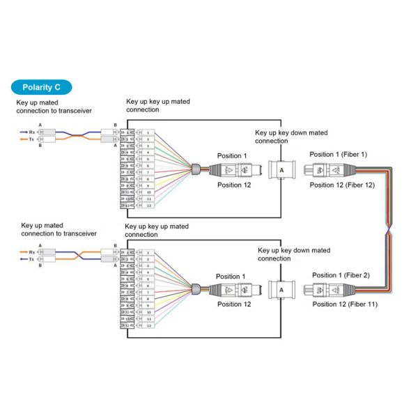 12F Transparent MPO MTP LGX Cassette Box For Ultra High Density Enclosure Panel