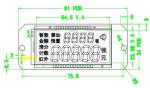 HTN Positive 6 O'Clock Seven Segment Lcd Display Module