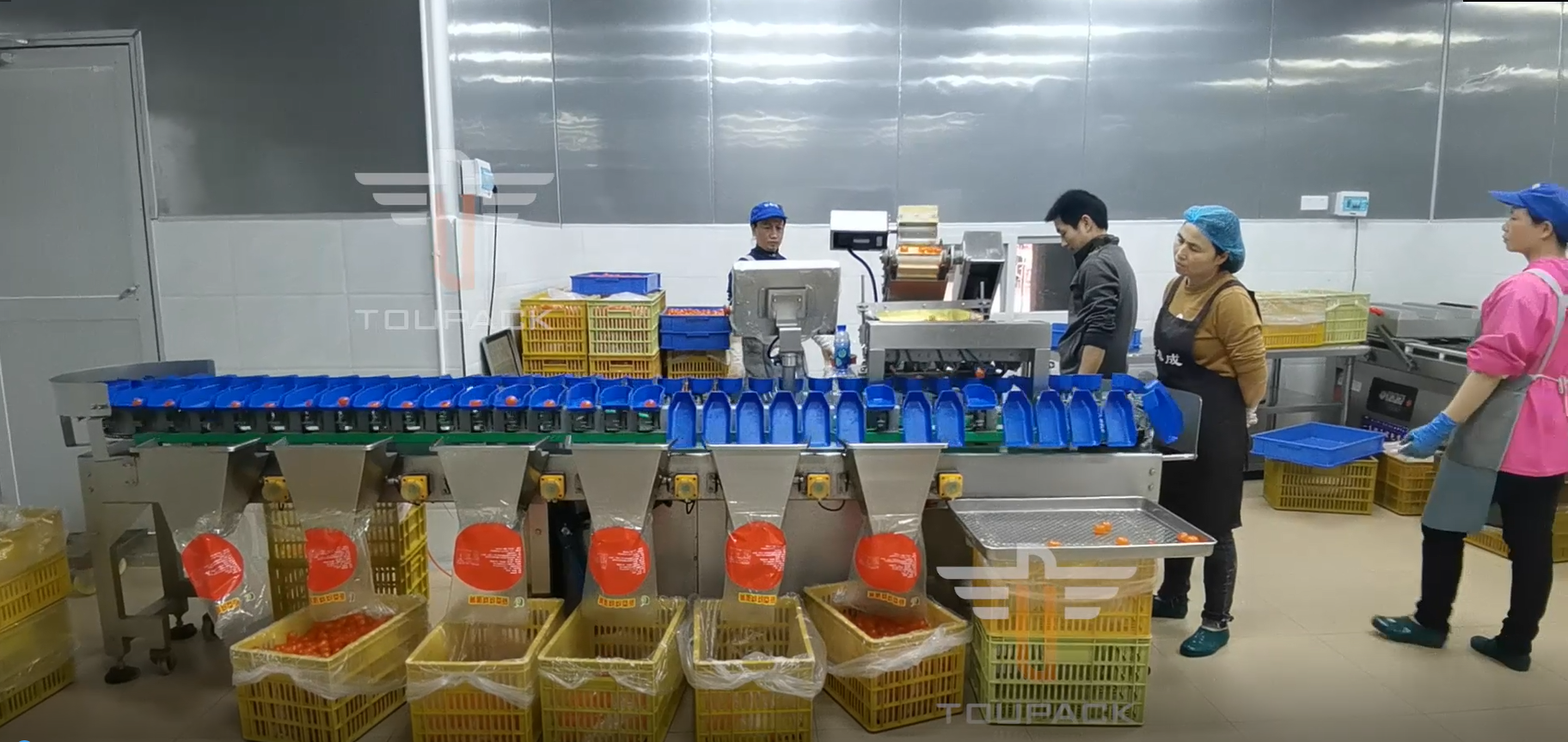 Touch Screen Multi Grade Circular Weight Sorting Machine For Yolk Fish Fruits