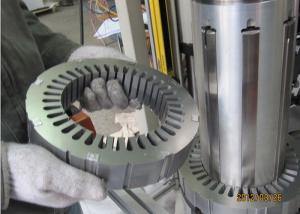 Wholesale Servo Stator Core Assembly Machine / Stator Laminations Machine from china suppliers