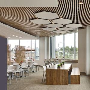 China Transfer Printing Honeycomb False Ceiling Design Random Modelling on sale