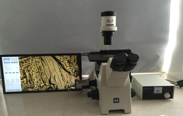 Quality Trinocular Inverted Biological Microscope For Research Cell Culture for sale