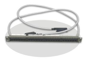 Wholesale Ethernet 24 Port Network Patch Panel For Chassis Switch RJ-45 Connectors Flow Control from china suppliers