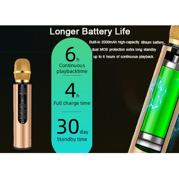 5W*2 Wireless Karaoke Microphone Bluetooth Speaker 6H Playtime For Holiday Party