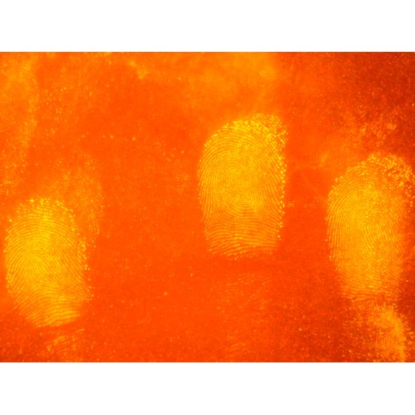 M009 BTTS-II Portable 12-waveband light source with accurate matched filter