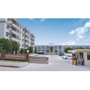 Dongguan Taotao Electronics Co., Ltd.