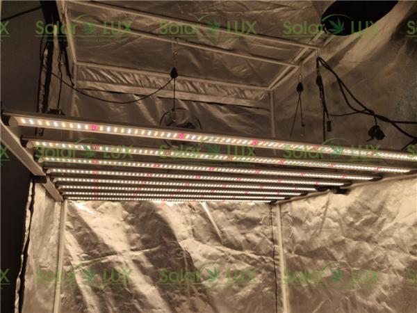 Quality Lm301b Lm301h 650w G1 UL8800 Horticulture LED Grow Lights for sale