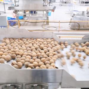 Wholesale 380V Low Voltage Grading Sizing Integrated Walnut Shelling Machine CE Certified from china suppliers