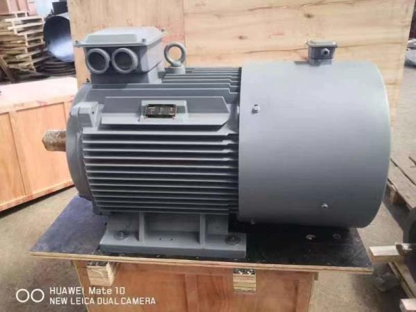 Quality High Frequency High Output Magnetic Field Permanent Magnet Generators Low Rpm for sale