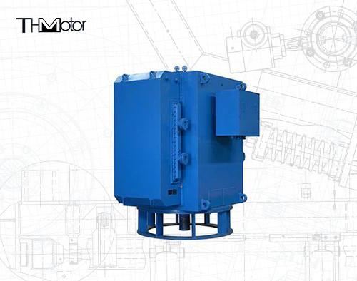 Quality Tl Vertical Large Synchronous Motor IC37 IC81W For Water Pump for sale