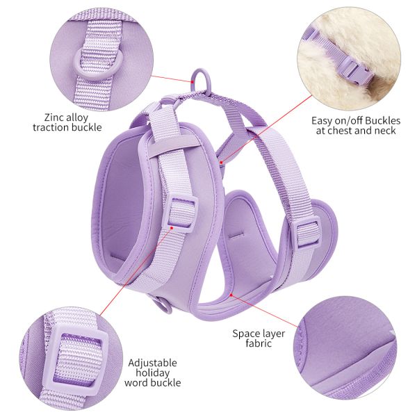 Neoprene Leash Collar Combo Adjustable Soft PVC Red Collar And Leash