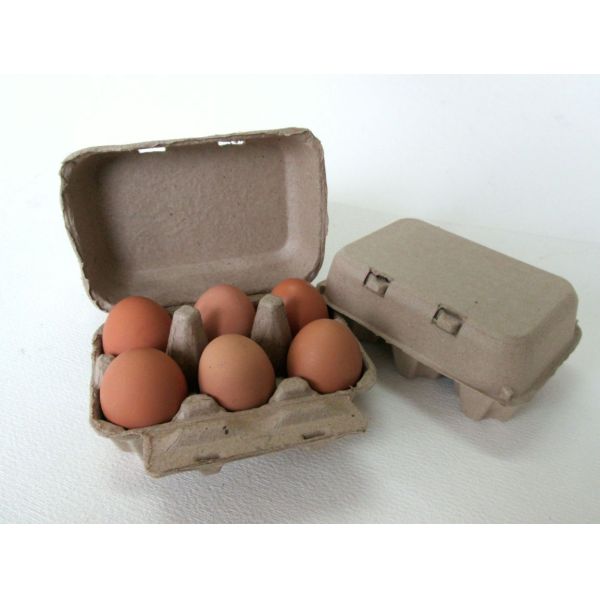 Automatic Paper Egg Carton Making Machine With Drying System Fast Speed