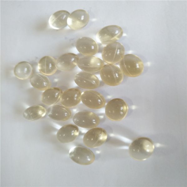 12 inch Vegetable Gel/ Starch Erkang Carrangeen Softgel Encapsulation Making Machine sale