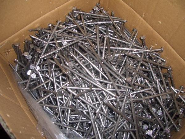 Quality Common nails factory for sale