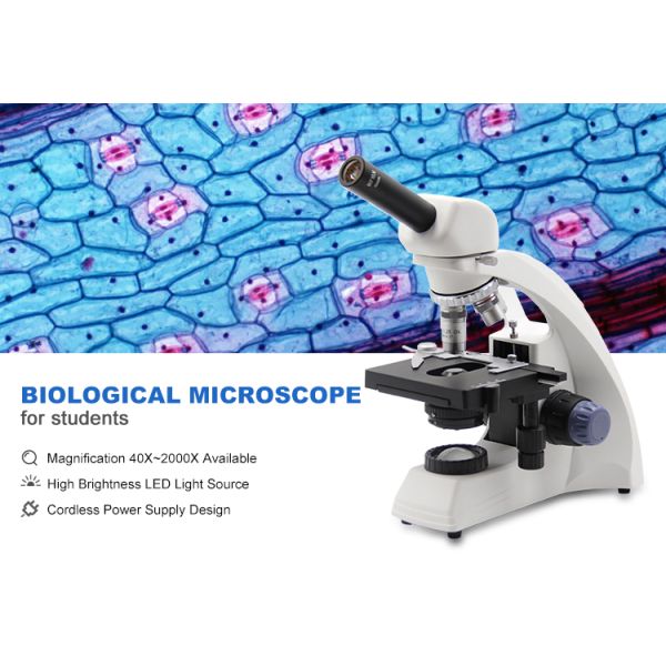 Teaching OPTO-EDU A11.1531 40X Compound Light Microscope