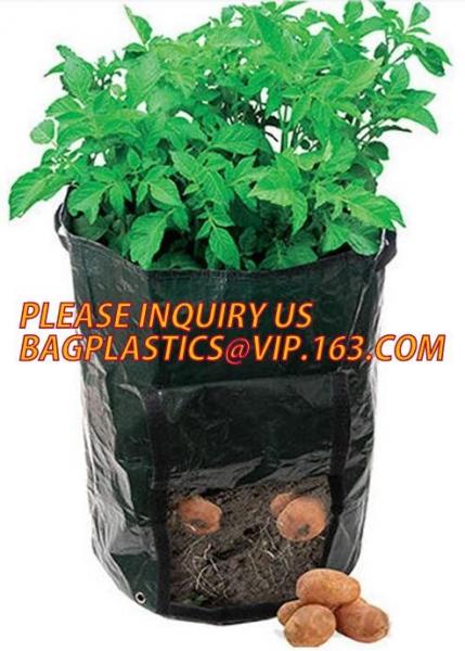 Grow bag, planter bags, nursery bags, agro planting bag, seedling bag, spling bag, custom size, color, bales with logoes
