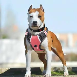 Wholesale Highly Reflective Nylon Dog Harness Sturdy Handle Easy To Put On And Off from china suppliers