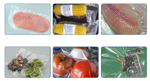 Commercial Grade Vacuum Sealer Packaging Machine DZ-500/2SB 1 Year Warranty