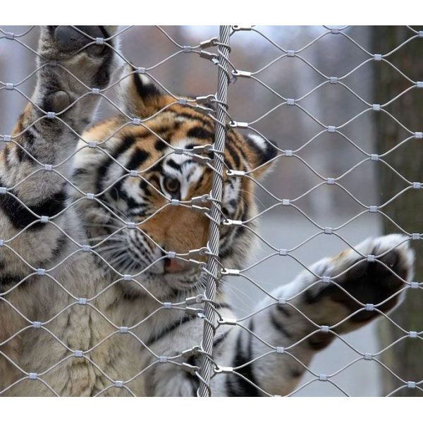 7x7 Tiger Metal Stainless Steel Zoo Mesh Enclosure Netting X Tend Shaped