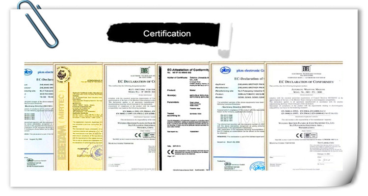 3kw 55kg Sesame Oil Making Machine Palm Oil Pressing SGS