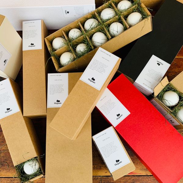 Empty 20 Reusable Egg Paper Box Cartons Container Brown Cardboard Paper Custom Printed